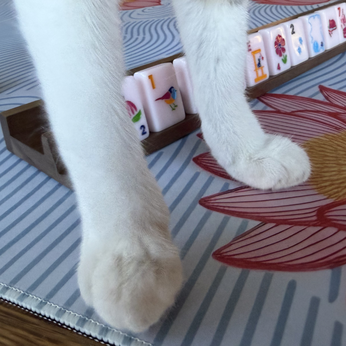 Cat Lady Rose Mahjong Tile Set